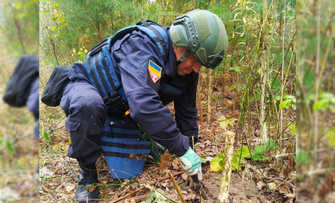 На Ніжинщині триває розмінування лісу