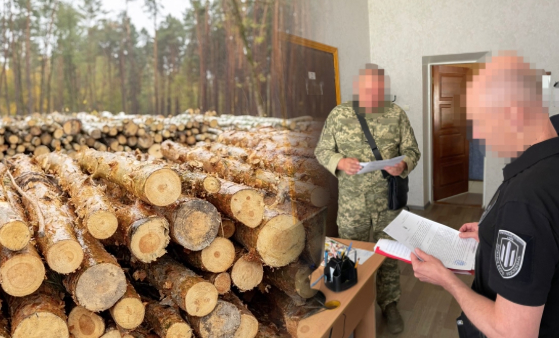 Закупив ліс у приватної контори задорого: на Чернігівщині судитимуть заступника командира військової частини
