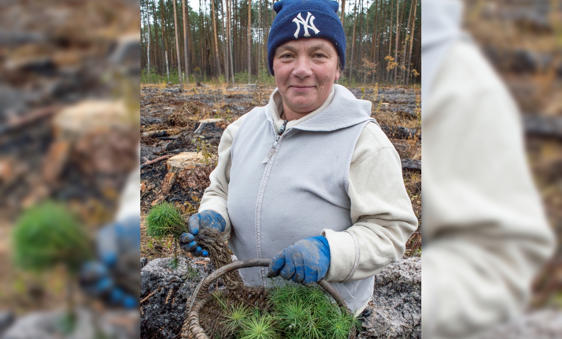 На прикордонні садять ліс: прилетіло в будиночок лісника