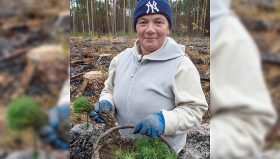 На прикордонні садять ліс: прилетіло в будиночок лісника