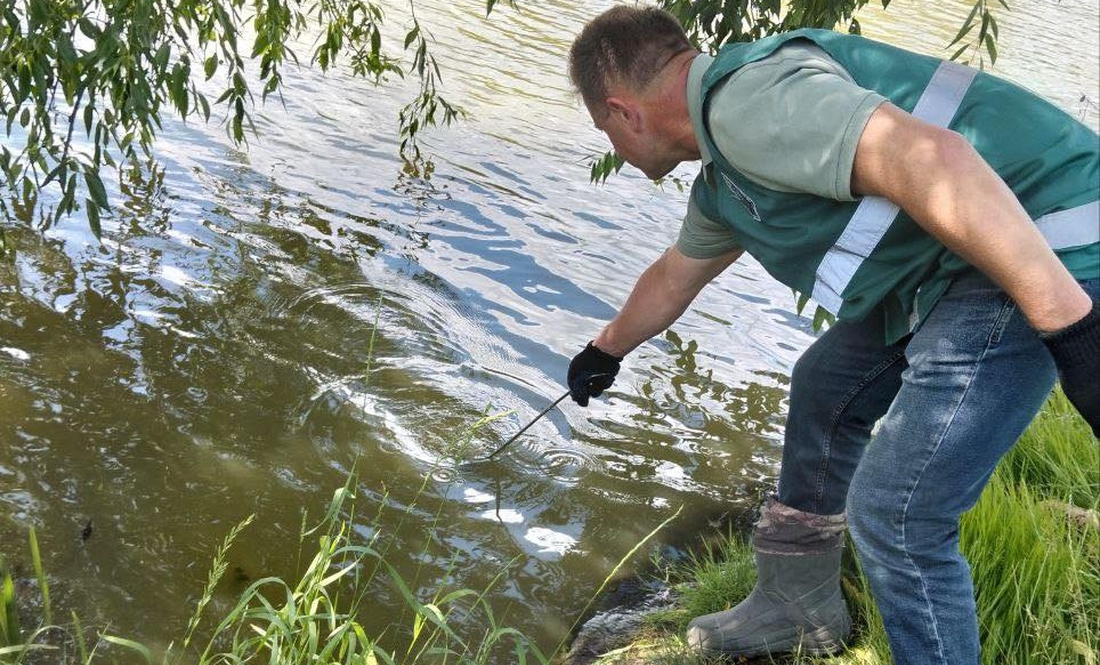 На Чернігівщині зафіксували забруднення річки — шукають винних