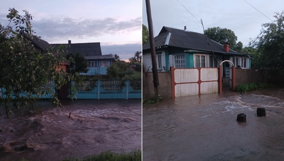 У Любечі річка вийшла з берегів