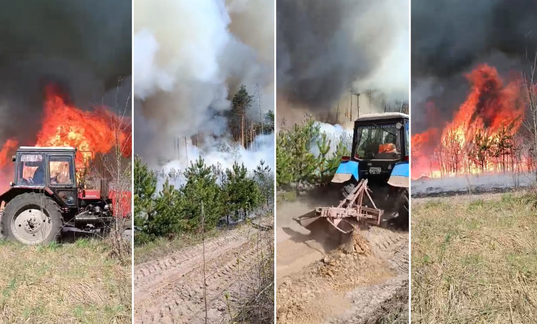 Велика лісова пожежа на Чернігівщині підбирається до будинків: що відомо
