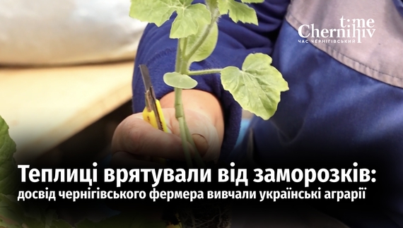 Теплиці врятували від заморозків: досвід чернігівського фермера вивчали українські аграрії