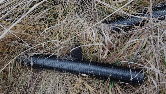 У громаді стривожені - виявили касетні боєприпаси в полі. Що кажуть посадовці