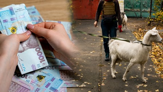65 тис. грн на евакуацію з худобою від Червоного Хреста: скільки охочих скористатися допомогою