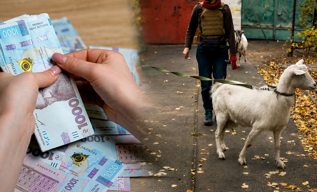 65 тис. грн на евакуацію з худобою від Червоного Хреста: скільки охочих скористатися допомогою