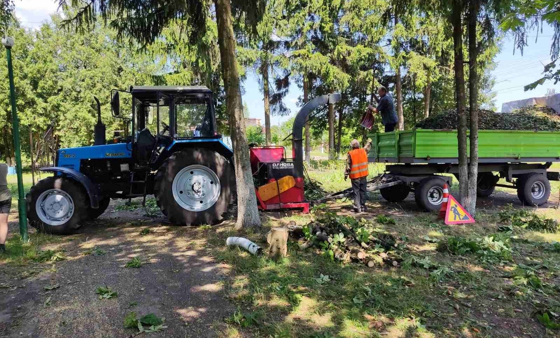 Повалені дерева та електроопори, побита градом городина, пошкоджені дахи: Менщина оговтується від наслідків буревію