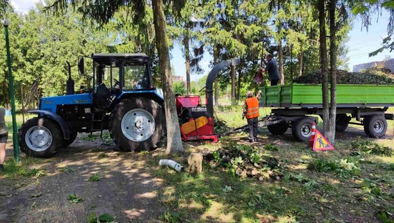 Повалені дерева та електроопори, побита градом городина, пошкоджені дахи: Менщина оговтується від наслідків буревію