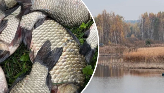 Порушив закон та правила любительського рибальства: на Чернігівщині судили жителя громади. Фото ілюстративне