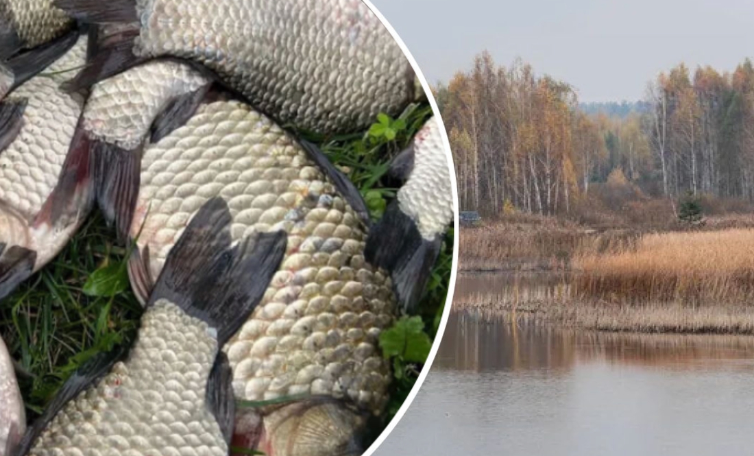 Порушив закон та правила любительського рибальства: на Чернігівщині судили жителя громади. Фото ілюстративне