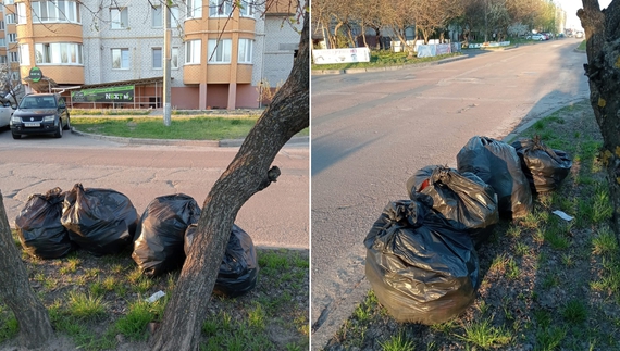 На Великдень сусіди викинули чернігівці під паркан мішки зі сміттям