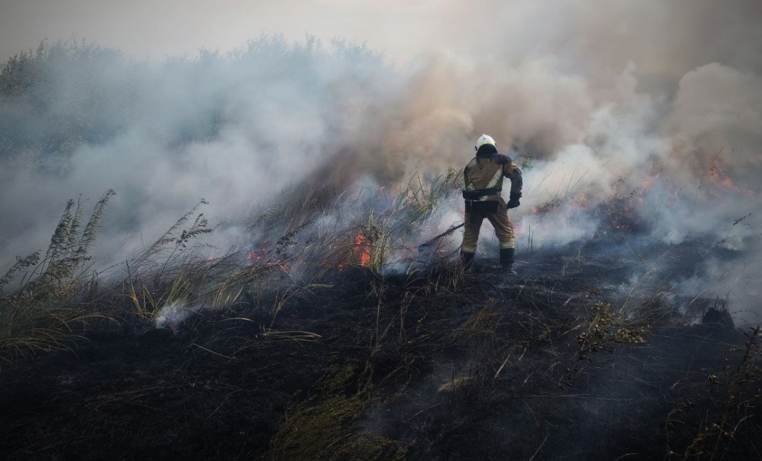 Чернігів у диму, бо горіла трава та ліс. Одна з версій - навмисний підпал