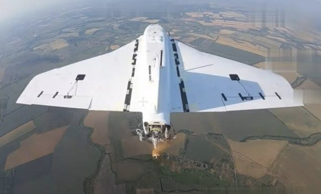 Російська "гербера". Фото ілюстративне