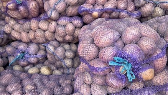Селяни віддають картоплю за безцінь: які ціни на Чернігівщині