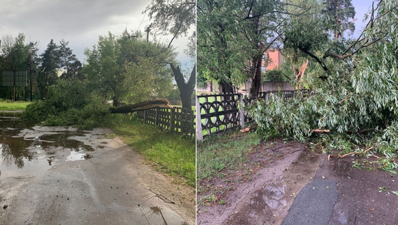 Прикордонням Чернігівщини пронеслася негода