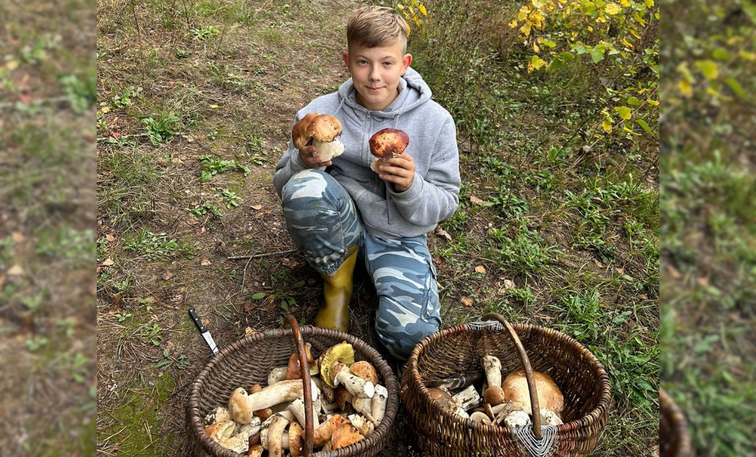 На Чернігівщині гриби є, але не всюди