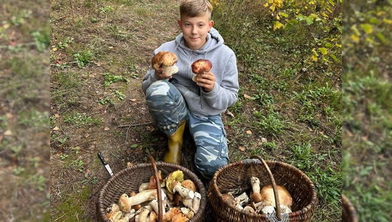 На Чернігівщині гриби є, але не всюди