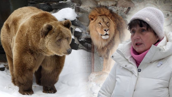 Як переживає екстремальні морози один із найпівнічніших зоопарків України