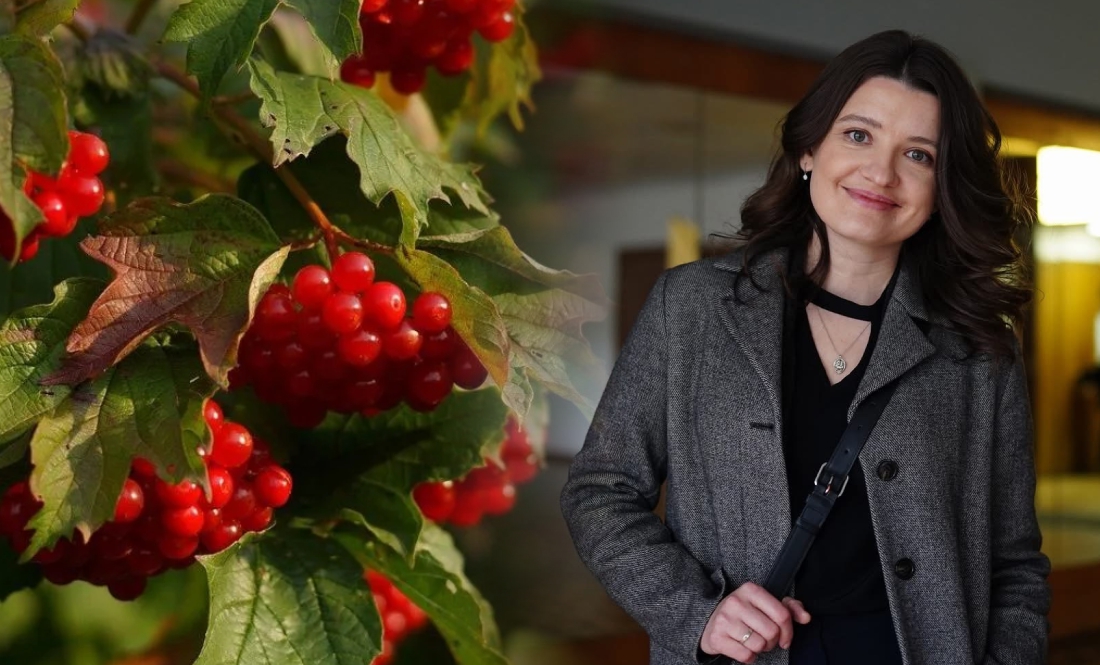 Відома режисерка вирощує на Чернігівщині диво-калину