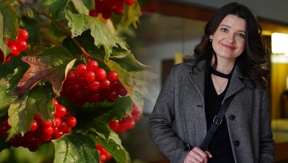 Ірина Цілик вирощує на Чернігівщині диво-калину