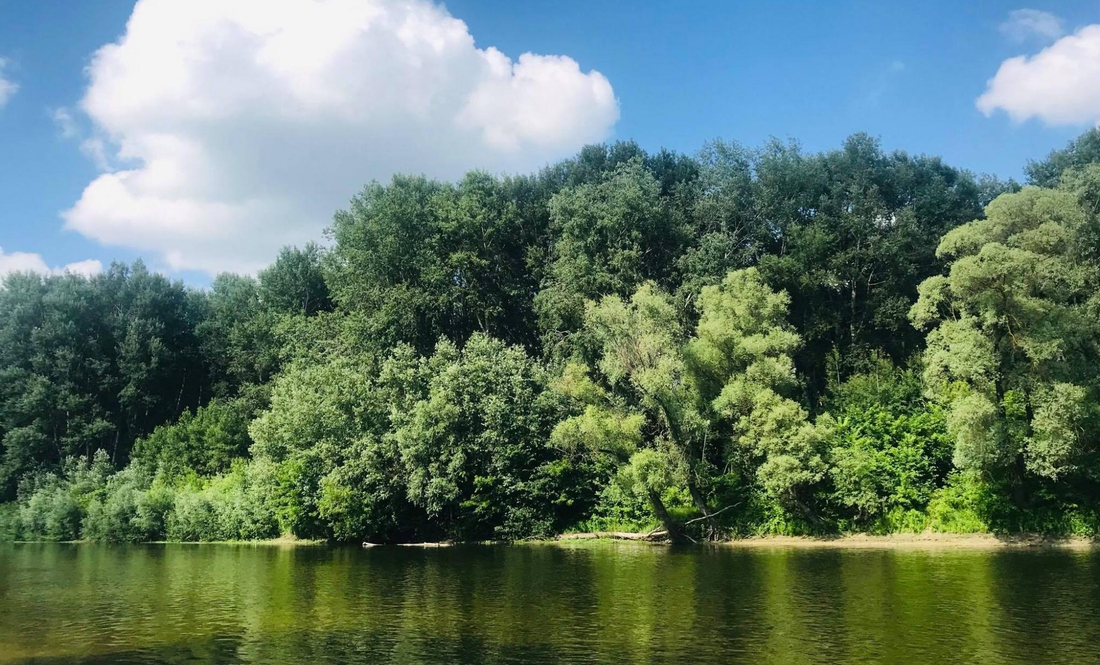 На Чернігівщині із Сейму дістали тіло потопельника