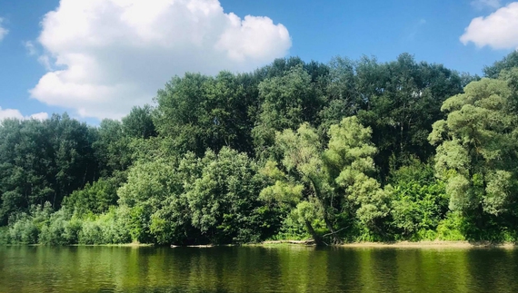 На Чернігівщині із Сейму дістали тіло потопельника