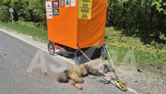 У 30 км від чернігівського кордону задвохсотили Коня у військовій формі