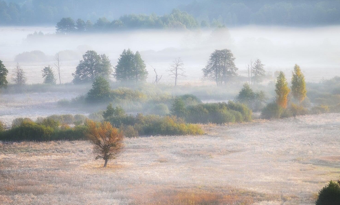 Чернігівський фотограф Олександр Арендар опинився у списку 10 фіналістів конкурсу «Вікі любить Землю»