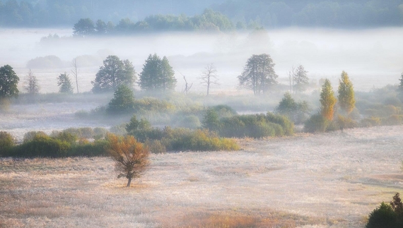 Чернігівський фотограф Олександр Арендар опинився у списку 10 фіналістів конкурсу «Вікі любить Землю»