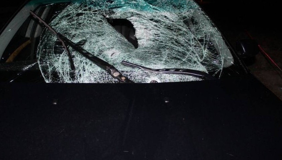 На Чернігівщині поліцейський на BMW збив людину — слідство завершено
