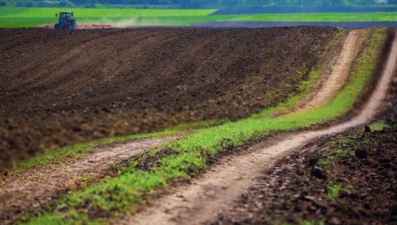 Інвестбанкір продає землю на півночі Чернігівщини. Фото ілюстративне