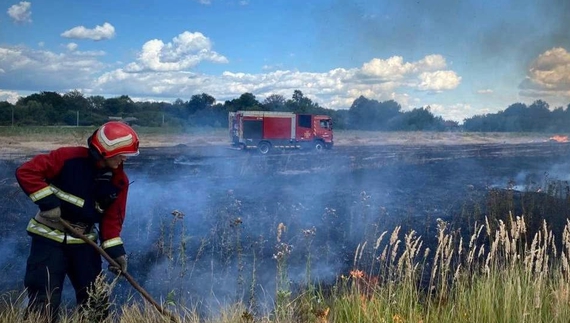 На Чернігівщині за добу вигоріло майже 4 гектари сухої трави