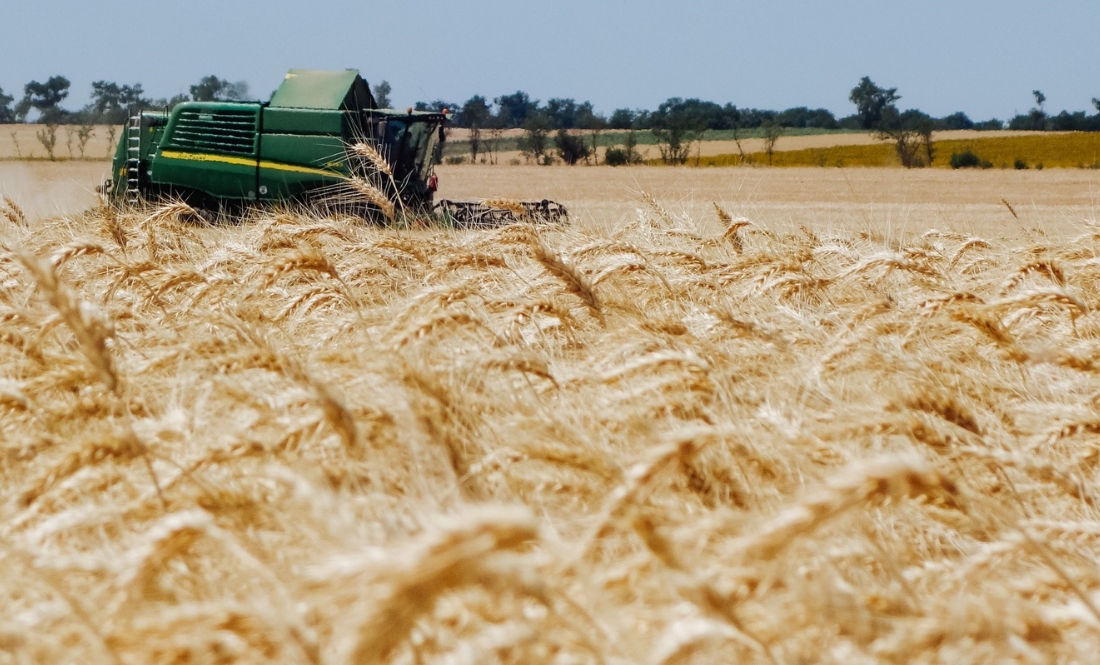 Агрокомпанія з Чернігівщини перейшла до нового власника: чого чекати далі