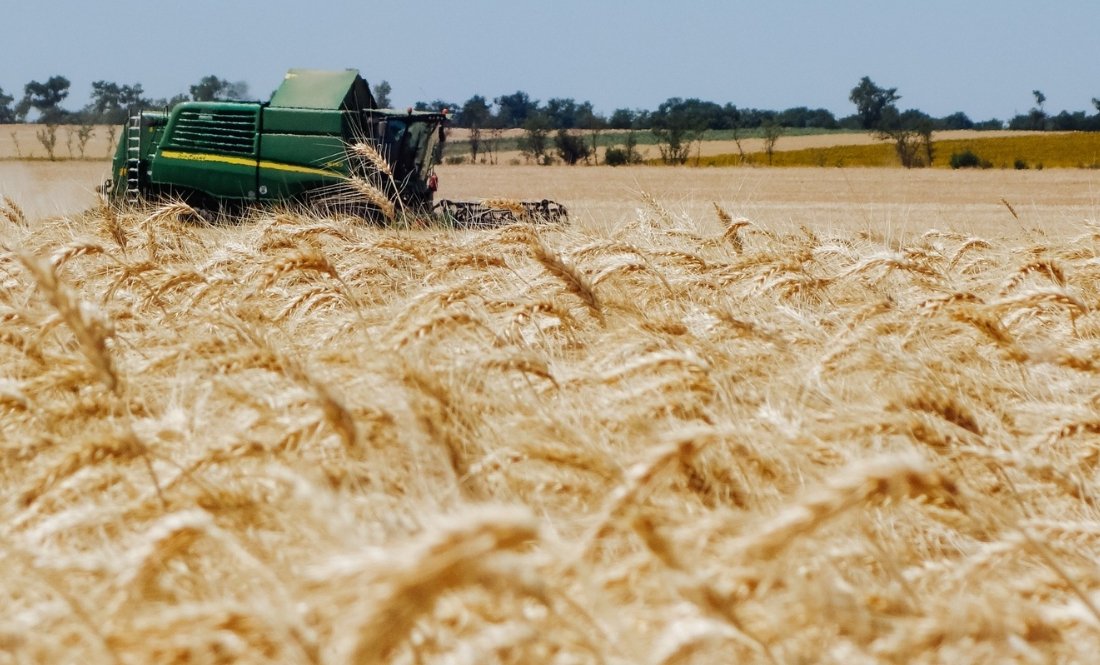Агрокомпанія з Чернігівщини перейшла до нового власника: чого чекати далі