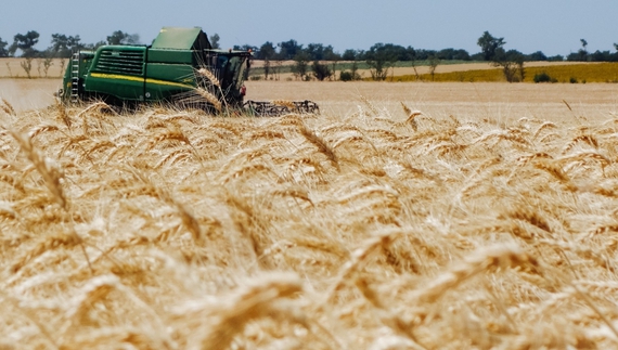 Агрокомпанія з Чернігівщини перейшла до нового власника: чого чекати далі