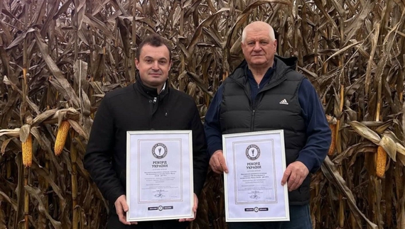 Кукурудзяний рекорд встановило підприємство з Чернігівщини