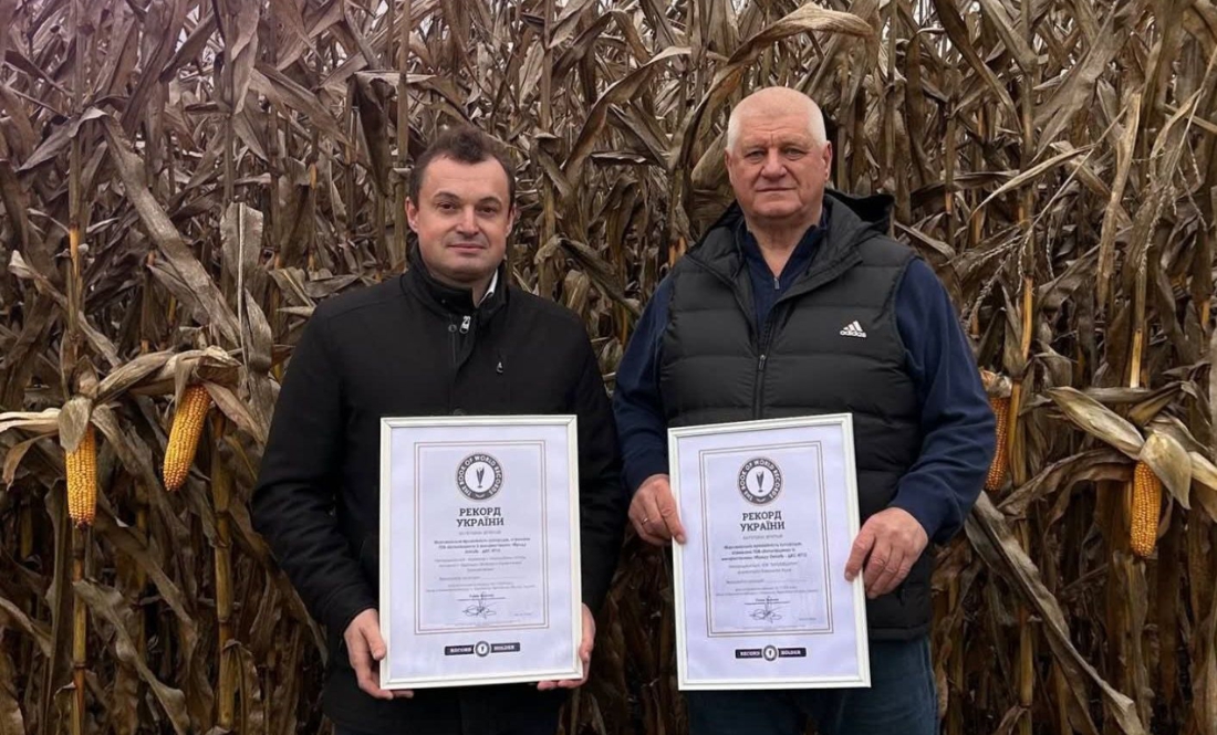 Кукурудзяний рекорд встановило підприємство з Чернігівщини