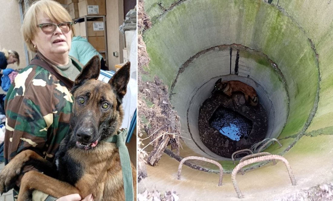 Сліпого собаку витягли з глибокого колодязя під Черніговом