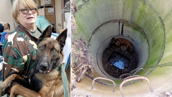 Сліпого собаку витягли з глибокого колодязя під Черніговом