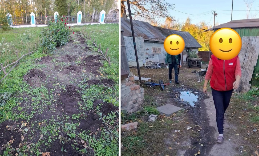 У Сиволожі на території колишньої школи викопали кущі троянд