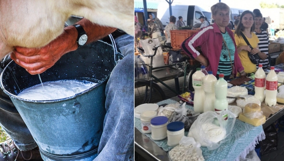 Здають молоко на заводи: «Ще такого не було, щоб взимку здешевіло»