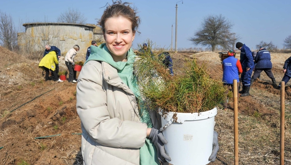 У громаді на Чернігівщині висадили дві тисячі сосен