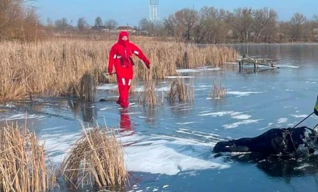 У ставку на Чернігівщині виявили тіло чоловіка