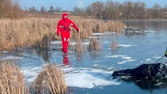 У ставку на Чернігівщині виявили тіло чоловіка