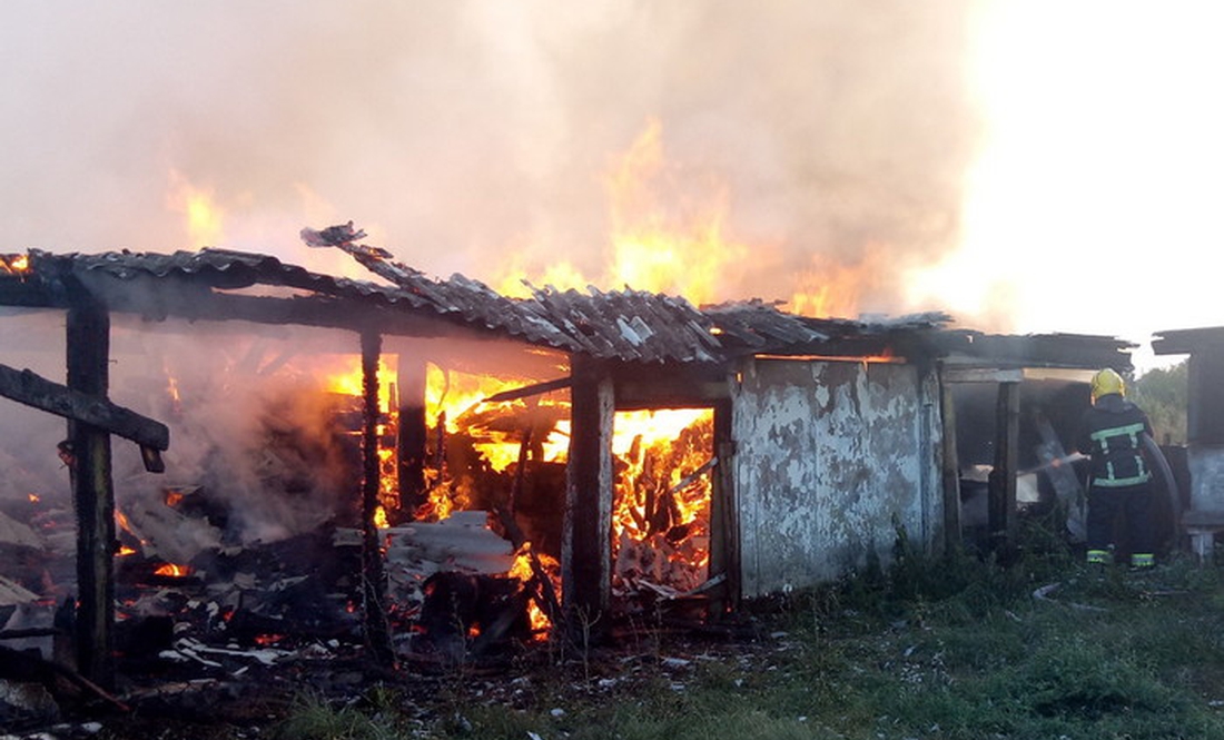 На Чернігівщині дитячі пустощі з вогнем завершилися пожежею – згоріло 60 кубів дров
