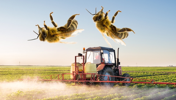 Пасічник грозив фермеру гранатою: переживав за бджіл