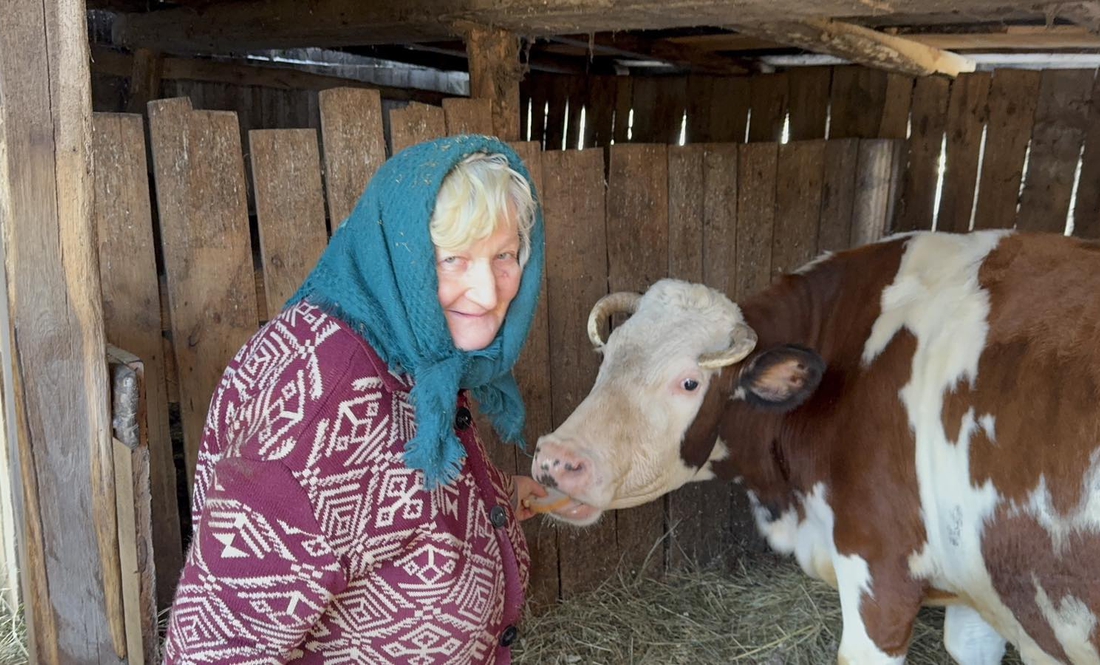 Валентина ВОЛЕВАЧ зі Смолина Чернігівського району тримає корову Вишню і коня Орлика