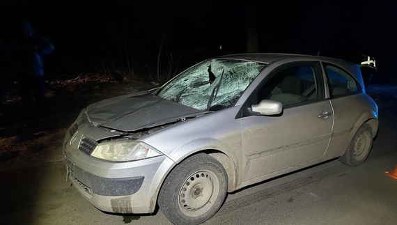 19-річний водій збив 61-річного пішохода в Ніжині: чоловік загинув