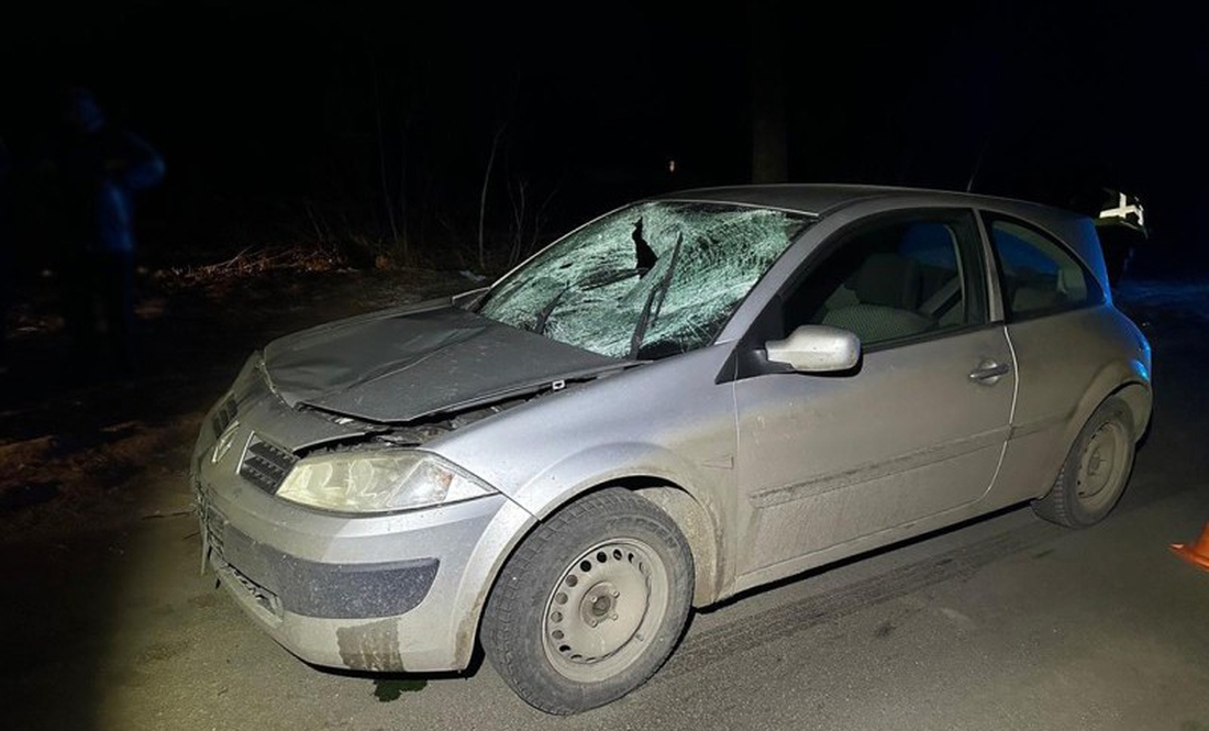 19-річний водій збив 61-річного пішохода в Ніжині: чоловік загинув